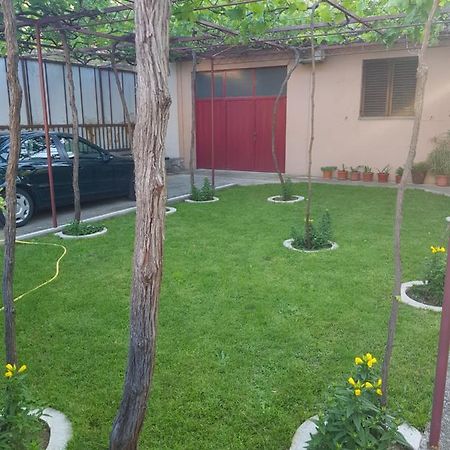 Rajka Daire Trebin Dış mekan fotoğraf